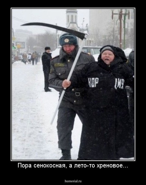 Пора сенокосная, а лето-то хреновое...