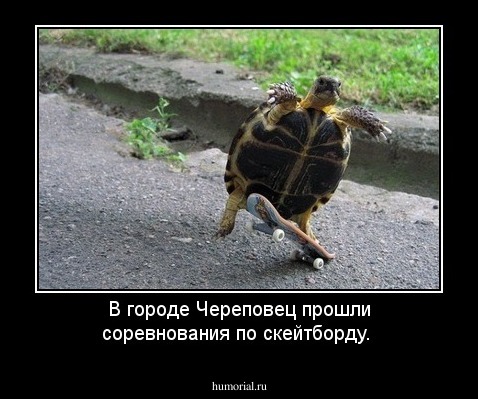 В городе Череповец прошли соревнования по скейтборду.