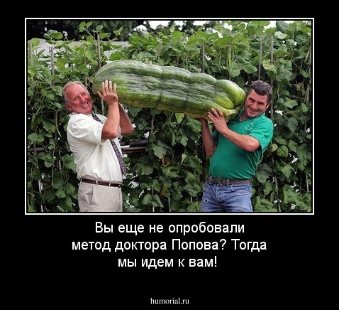 Вы еще не опробовали метод доктора Попова? Тогда мы идем к вам!