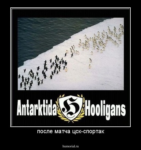 после матча цск-спортак