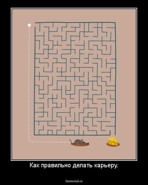 Как правильно делать карьеру.