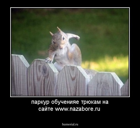 паркур обученияе трюкам на сайте www.nazabore.ru
