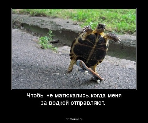 Чтобы не матюкались,когда меня за водкой отправляют.