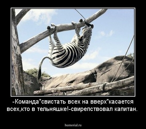 -Команда"свистать всех на вверх"касается всех,кто в тельняшке!-свирепствовал капитан.