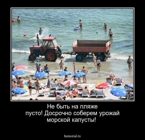 Не быть на пляже пусто! Досрочно соберем урожай морской капусты!