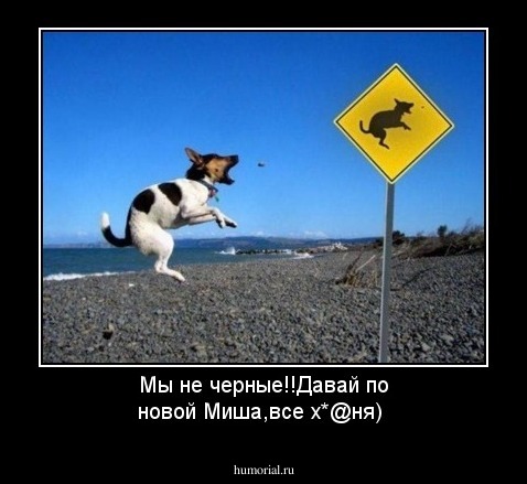 Мы не черные!!Давай по новой Миша,все х*@ня)