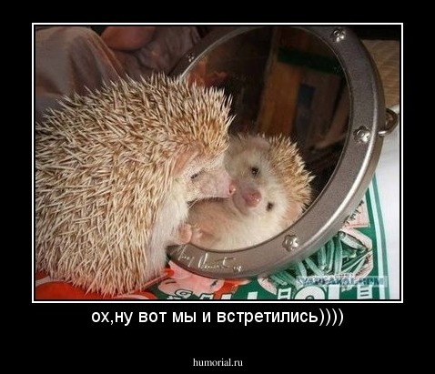 ох,ну вот мы и встретились))))
