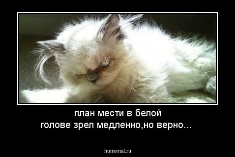 план мести в белой голове зрел медленно,но верно...