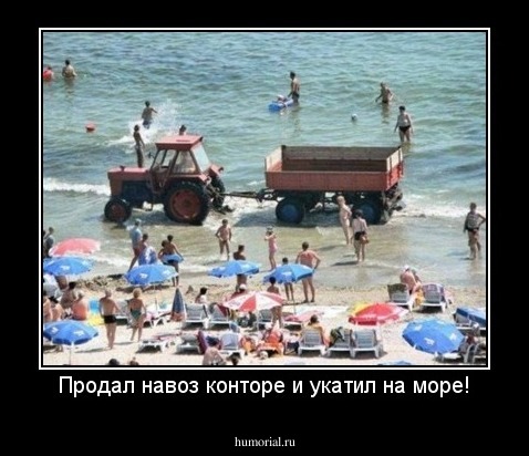 Продал навоз конторе и укатил на море!