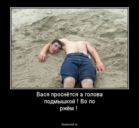 Вася проснётся а голова подмышкой ! Во  по ржём !