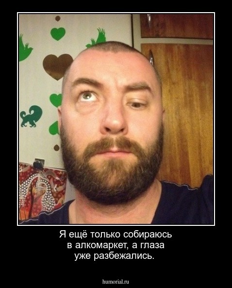 Я ещё только собираюсь в алкомаркет, а глаза уже разбежались.
