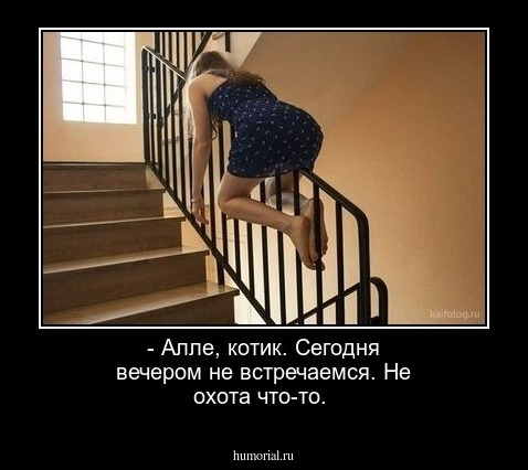 - Алле, котик. Сегодня вечером не встречаемся. Не охота что-то.