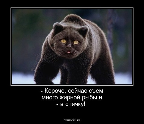 - Короче, сейчас съем много жирной рыбы и - в спячку!