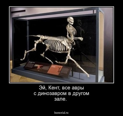 Эй, Кент, все авры с динозавром в другом зале.
