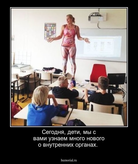Сегодня, дети, мы с вами узнаем много нового о внутренних органах.