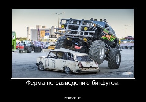 Ферма по разведению бигфутов.