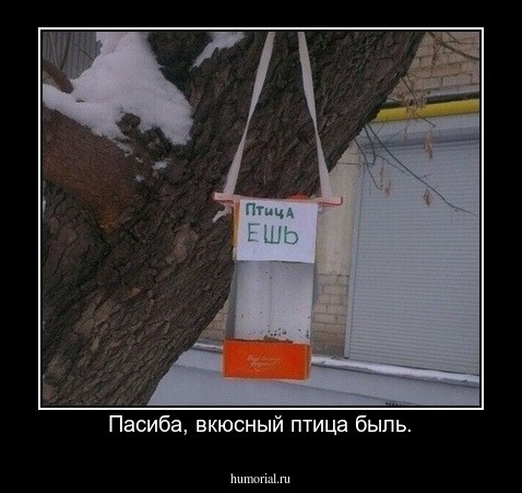 Пасиба, вкюсный птица быль.