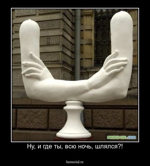 Ну, и где ты, всю ночь, шлялся?!