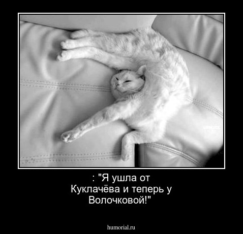 : "Я ушла от Куклачёва и теперь у Волочковой!"