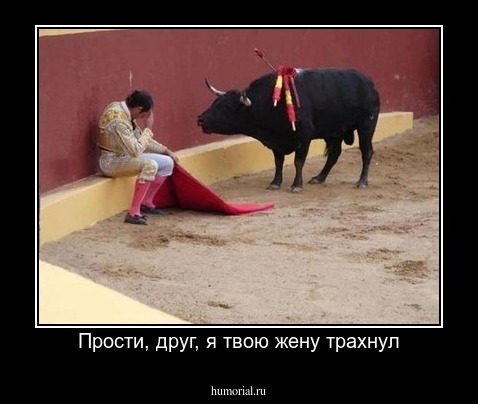 Прости, друг, я твою жену трахнул