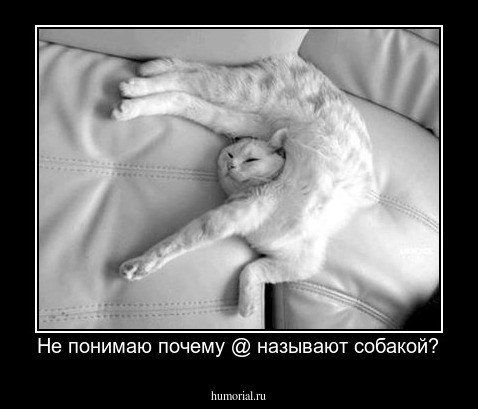 Не понимаю почему @ называют собакой?