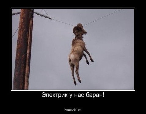 Электрик у нас баран!