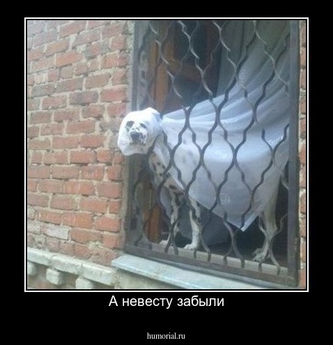 А невесту забыли