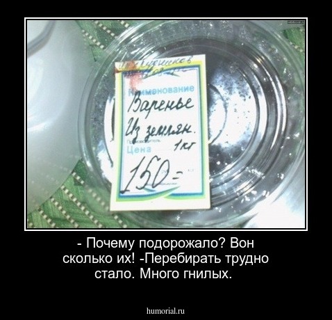 - Почему подорожало? Вон сколько их!
-Перебирать трудно стало. Много гнилых. 