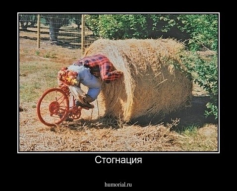 Стогнация
