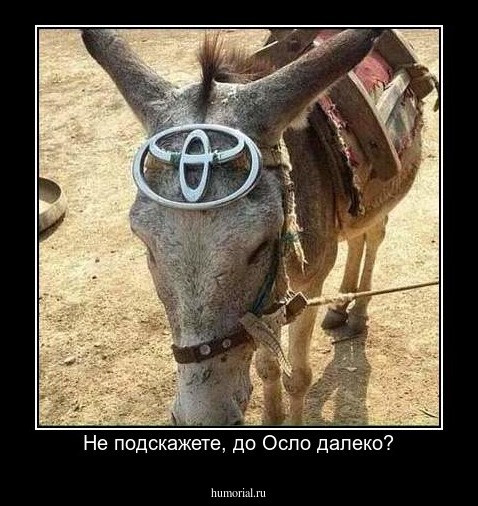 Не подскажете, до Осло далеко?