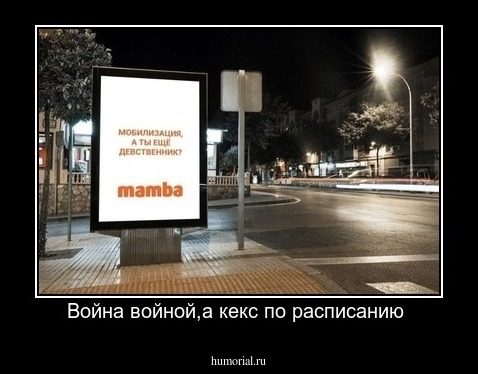 Война войной,а кекс по расписанию 