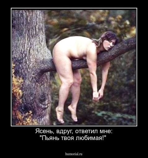 Ясень, вдруг, ответил мне: "Пьянь твоя любимая!"