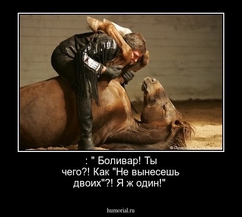  : " Боливар! Ты чего?! Как  "Не вынесешь двоих"?! Я ж один!"