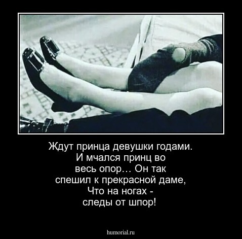 Ждут принца девушки годами. 
И мчался принц во весь опор…
Он так спешил к прекрасной даме,
Что на ногах - следы от шпор!