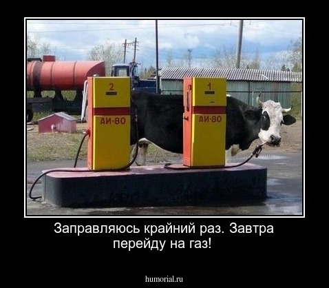 Заправляюсь крайний раз. Завтра перейду на газ!