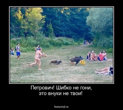  Петрович! Шибко не гони,  это внуки не твои!