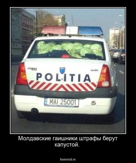  Молдавские гаишники штрафы берут капустой.