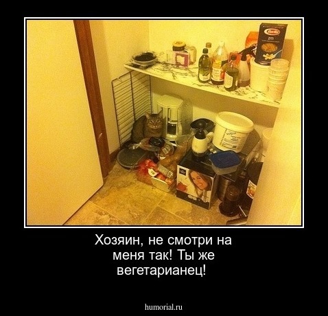 Хозяин, не смотри на меня так! Ты же вегетарианец!