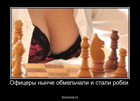 Офицеры нынче обмельчали и стали робки 