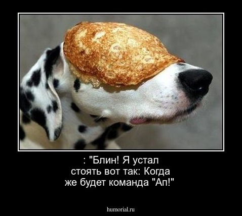  : "Блин! Я устал стоять вот так: Когда же будет команда "Ап!"