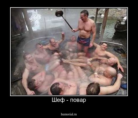 Шеф - повар