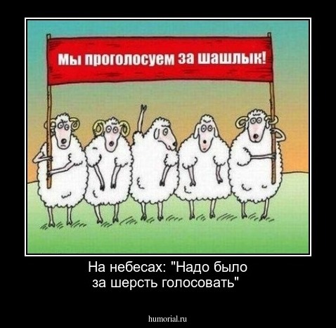 На небесах: "Надо было за шерсть голосовать"