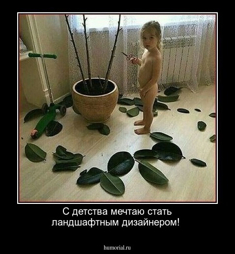 С детства мечтаю стать ландшафтным дизайнером!