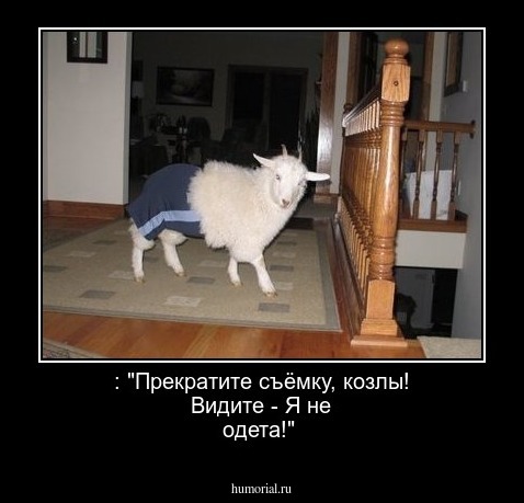  : "Прекратите съёмку, козлы! Видите - Я не одета!"