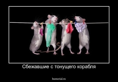 Сбежавшие с тонущего корабля