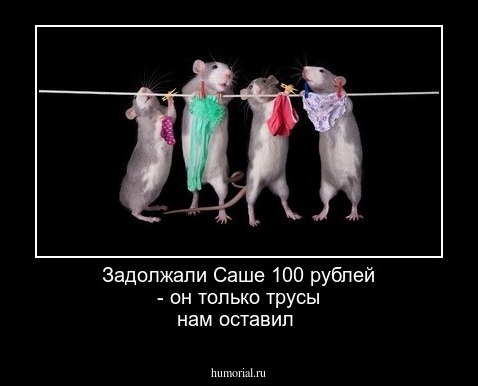 Задолжали Саше 100 рублей - он только трусы нам оставил