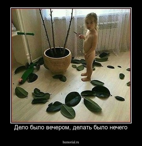 Дело было вечером, делать было нечего