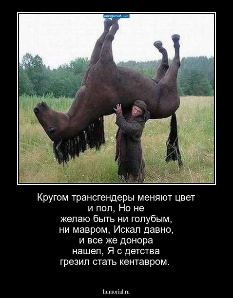 Кругом трансгендеры меняют цвет и пол,
Но не желаю быть ни голубым, ни мавром,
Искал давно, и все же донора нашел,
Я с детства грезил стать кентавром.