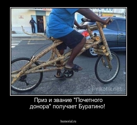 Приз и звание "Почетного донора" получает Буратино!