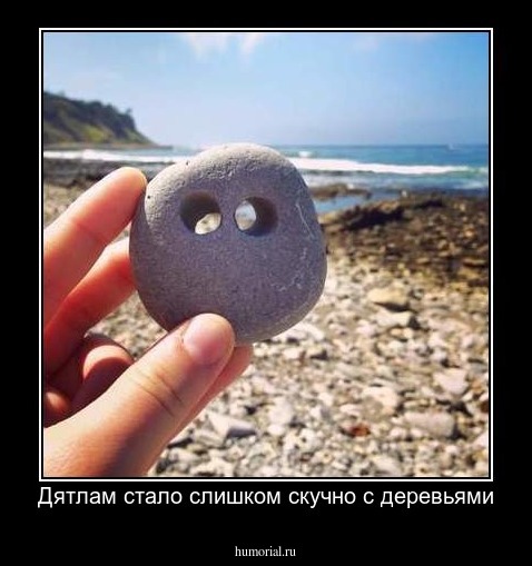 Дятлам стало слишком скучно с деревьями